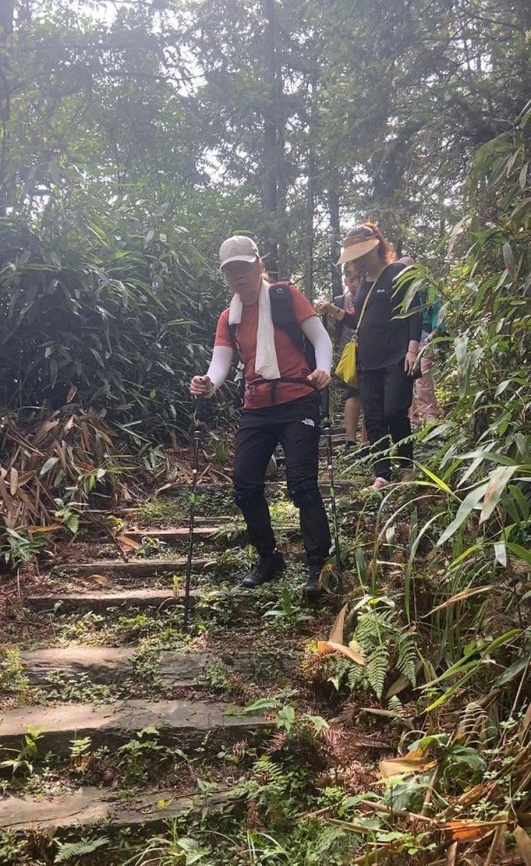 配资之家公司 重走千年茶马道，“片叶度关山”万里茶路中国行深入安化古道探源
