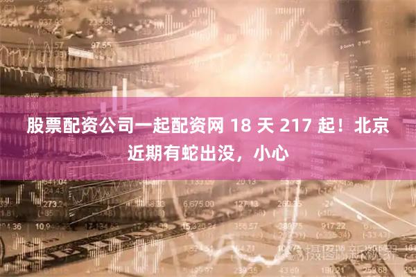 股票配资公司一起配资网 18 天 217 起！北京近期有蛇出没，小心