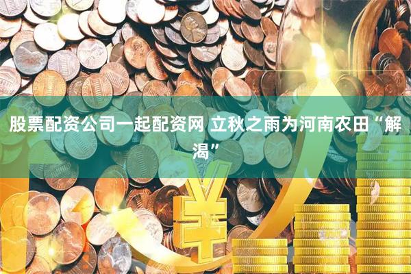 股票配资公司一起配资网 立秋之雨为河南农田“解渴”