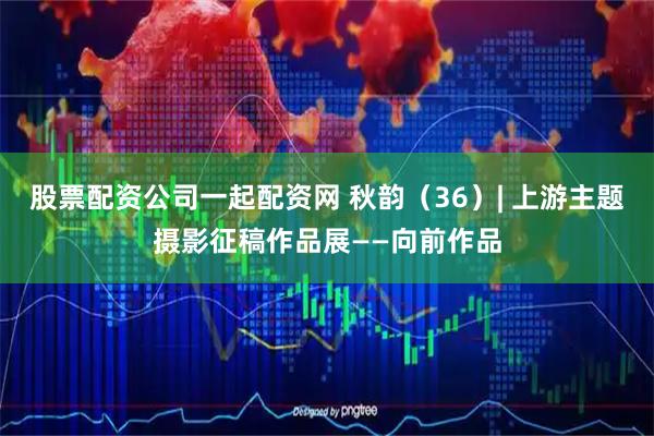 股票配资公司一起配资网 秋韵（36）| 上游主题摄影征稿作品展——向前作品