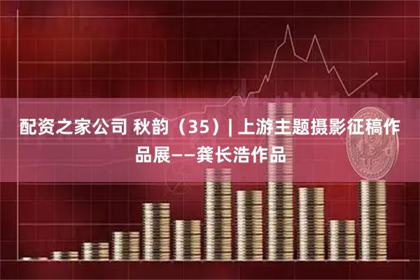 配资之家公司 秋韵（35）| 上游主题摄影征稿作品展——龚长浩作品