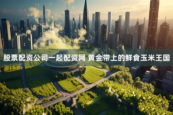 股票配资公司一起配资网 黄金带上的鲜食玉米王国