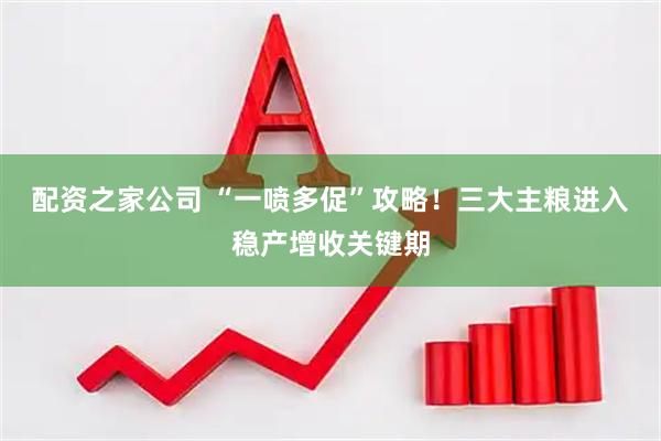 配资之家公司 “一喷多促”攻略！三大主粮进入稳产增收关键期
