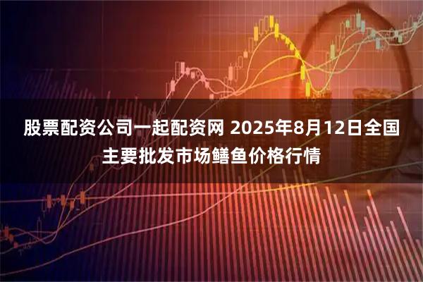 股票配资公司一起配资网 2025年8月12日全国主要批发市场鳝鱼价格行情